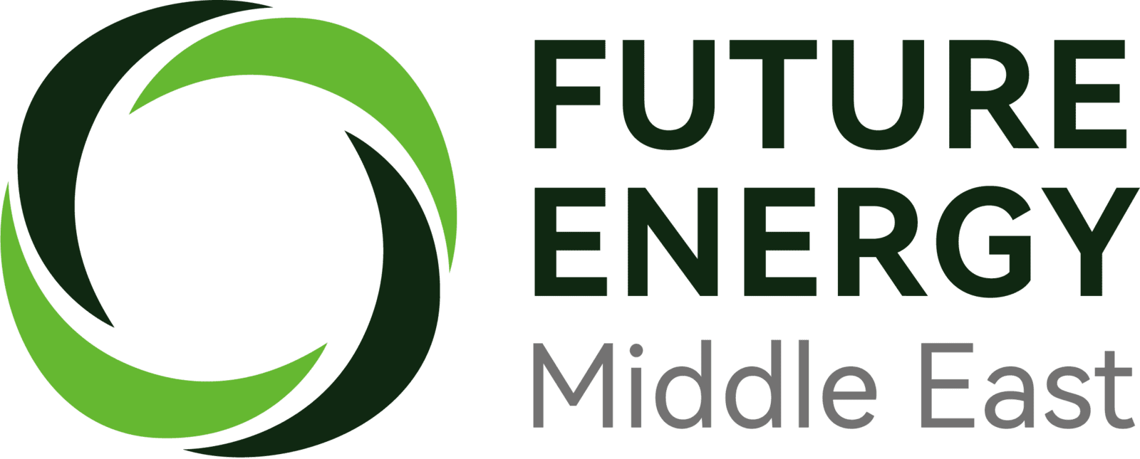 Future Energy Middle East Limited